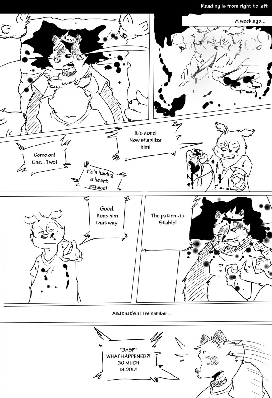 Superescort Nocturne Vigilante 2 page 6 full