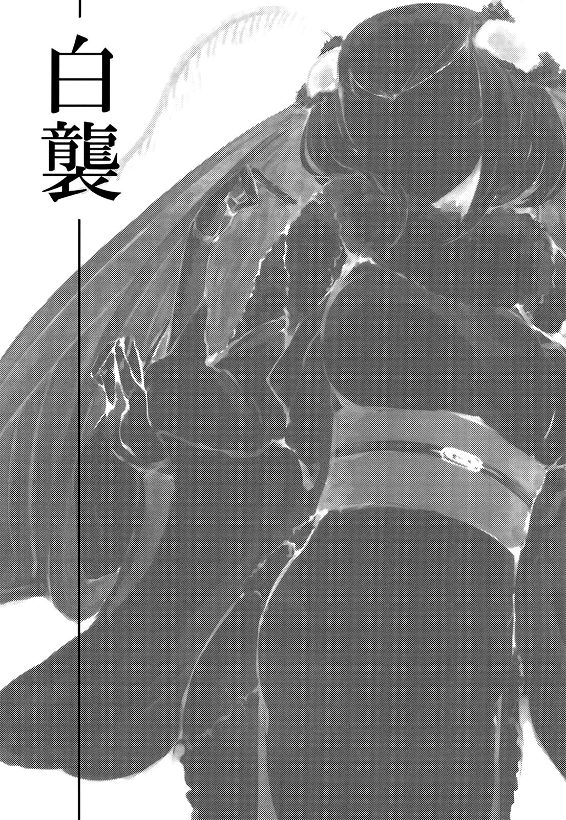 Shiragasane | Layers of White page 2 full