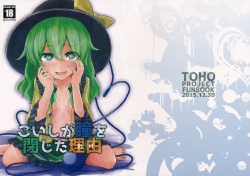 Koishi ga Hitomi o Tojita Wake