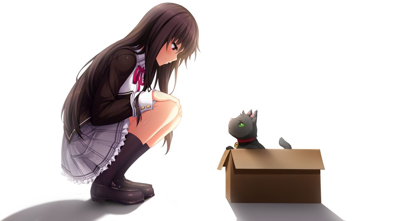 Nora to Oujo to Noraneko Heart page 6 full