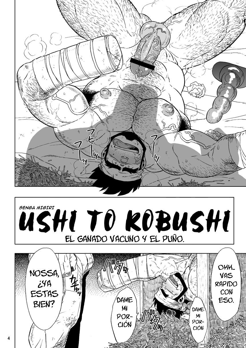 USHI to KOBUSHI | El ganado vacuno y el puño page 4 full