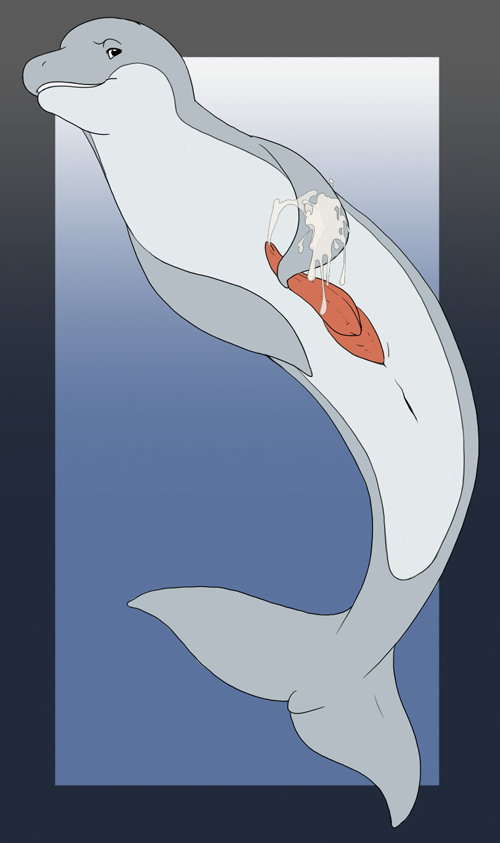Flipper page 1 full
