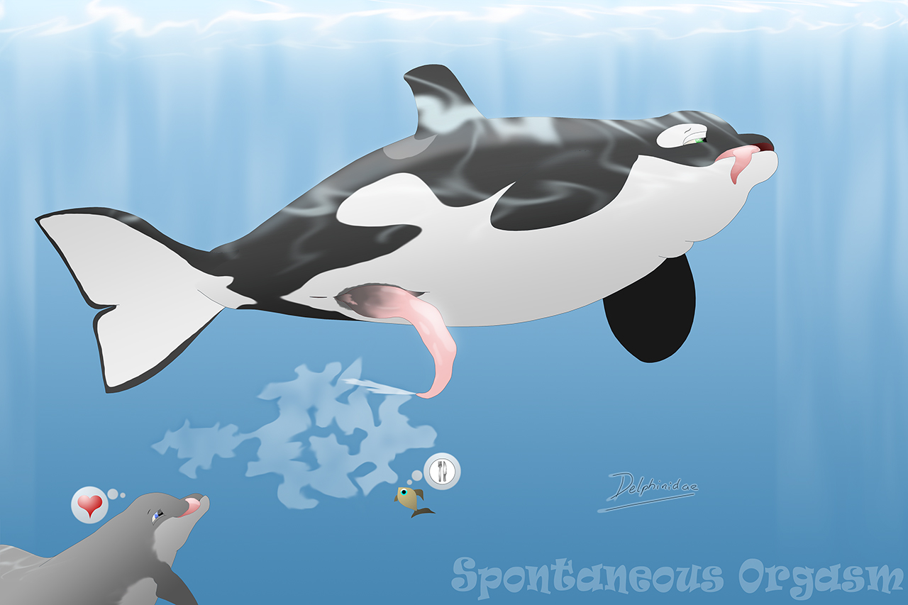 Flipper page 10 full