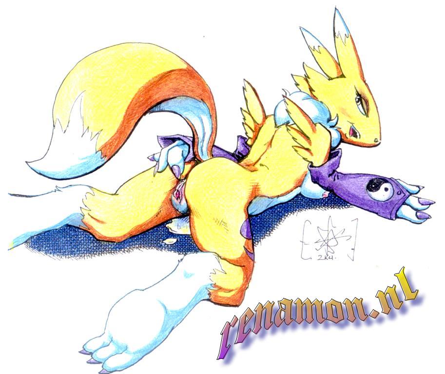 My Renamon collection part B page 8 full