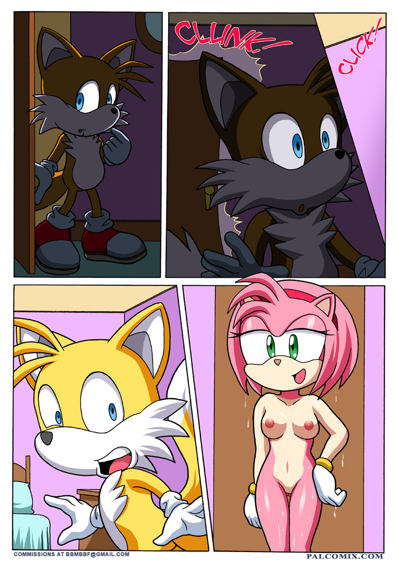 Sonic Project XXX 3 - Page 5 - IMHentai