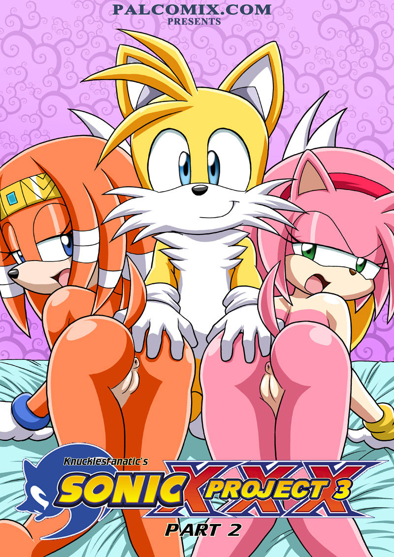 Sonic Project XXX 3 page 9 full