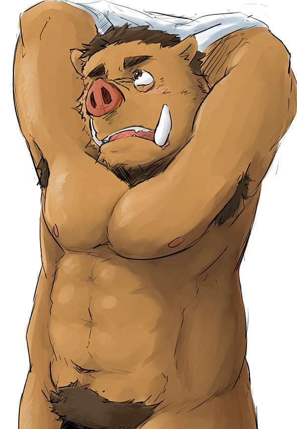 Collection: Morenatsu - Yaoi Bara page 1 full
