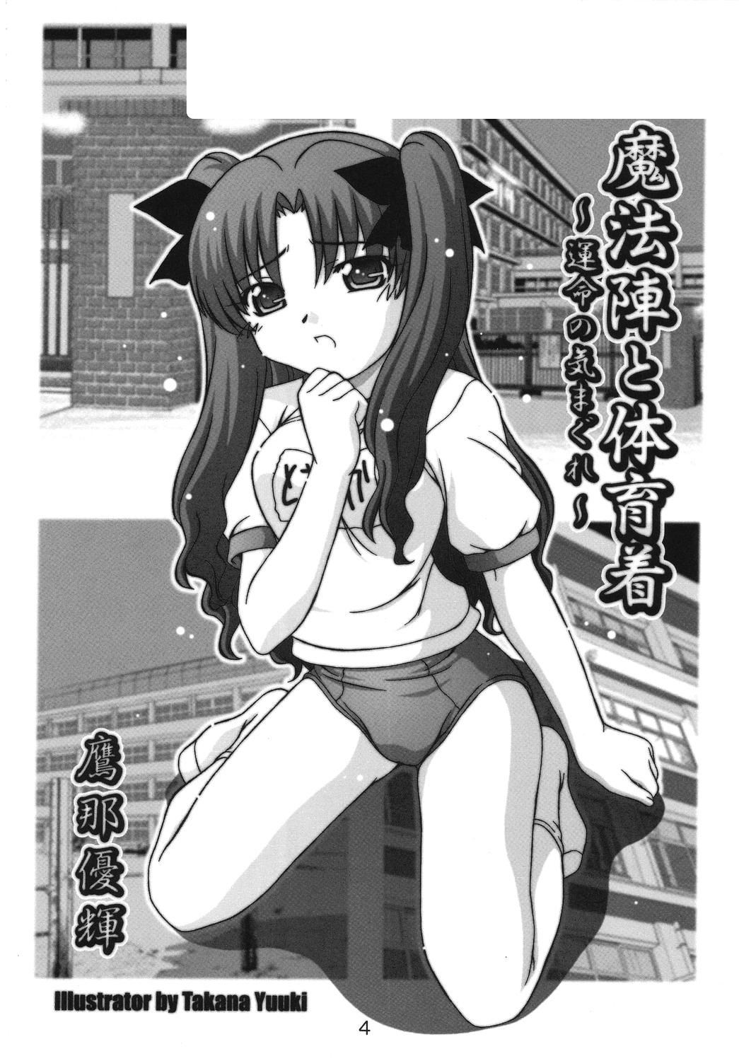 SECRET FILE NEXT 11 - Fate is capricious page 3 full