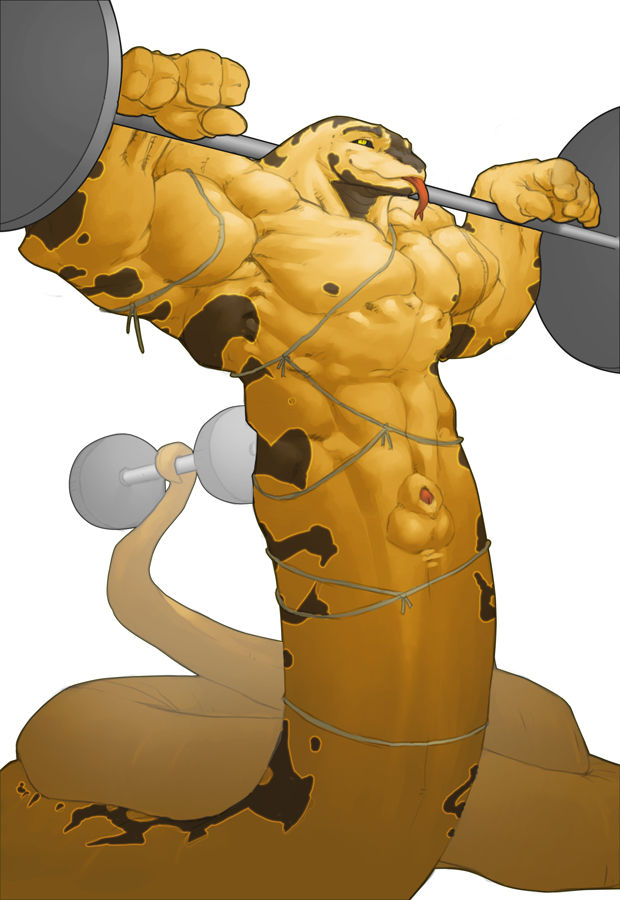 Furry Art Gallery - Muscle page 7 full