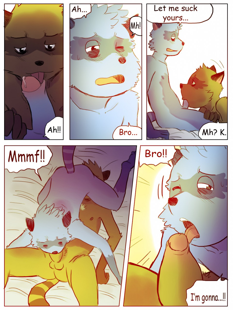 The story of the Racoon page 7 full
