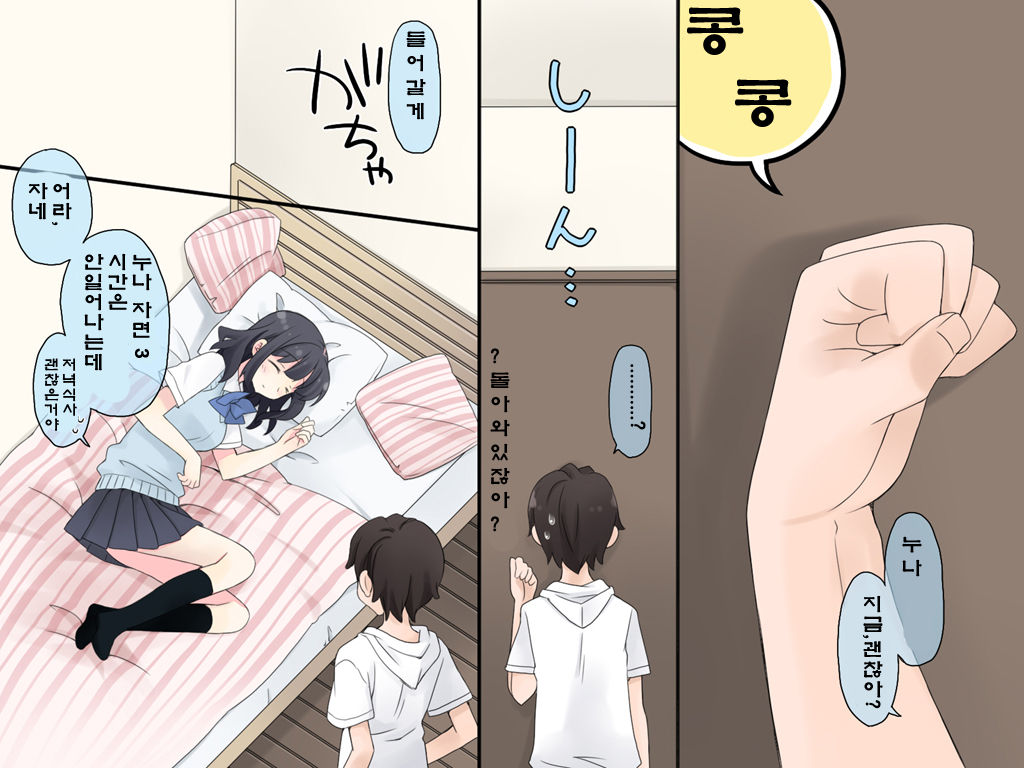 Suikan - Nemuru Ane wa Nakadashi Sex Shi Houdai page 4 full