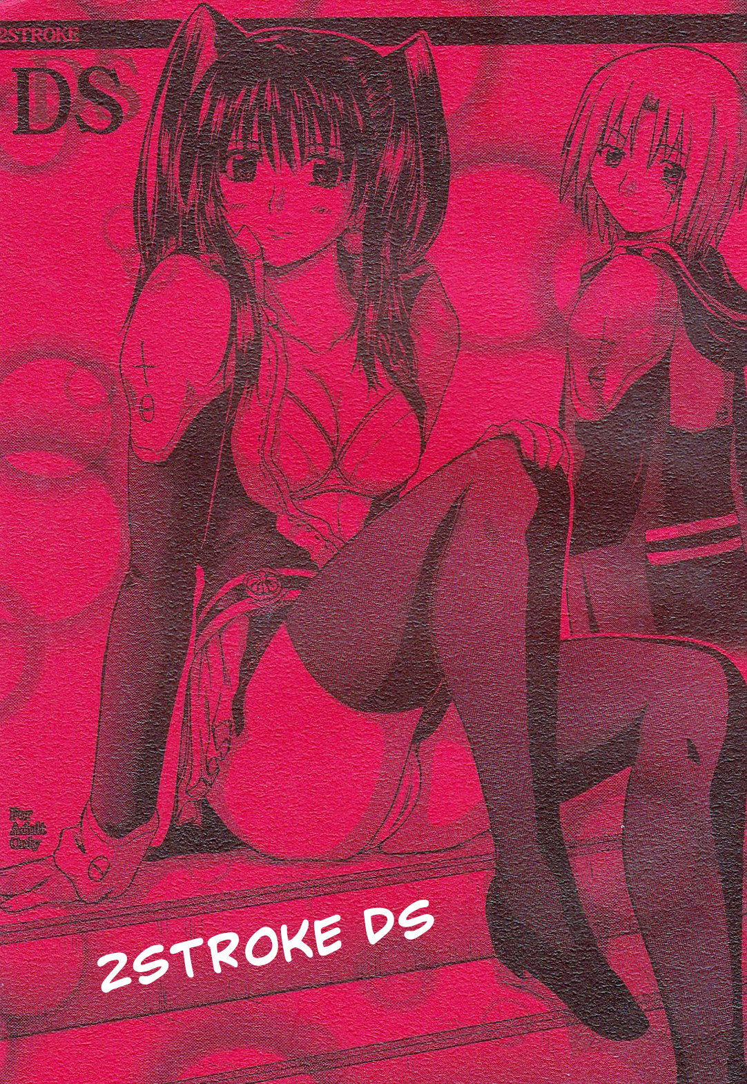 2STROKE DS page 1 full