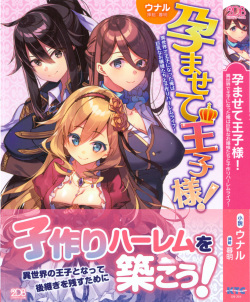 Haramasete Ouji-sama! - Isekai de Ouji ni Natta Ore wa Kyonyuu na Ojou-sama-tachi to Kozukuri Harem Life!