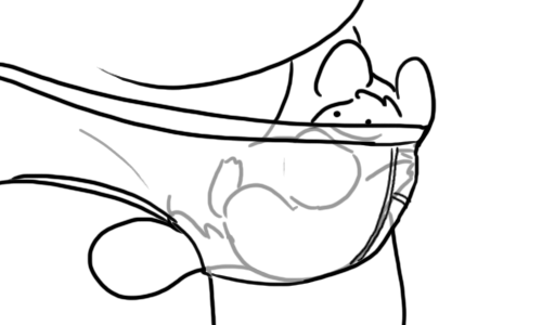 Undie Pouch page 3 full