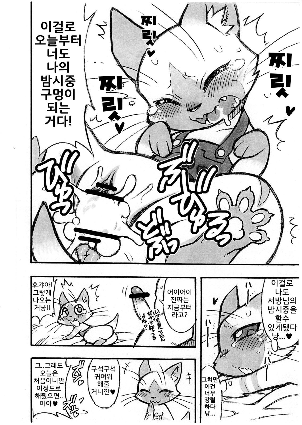 Yoru no Otomo ni Airou o. | 저녁의 처녀 에게 아이루 를. page 8 full
