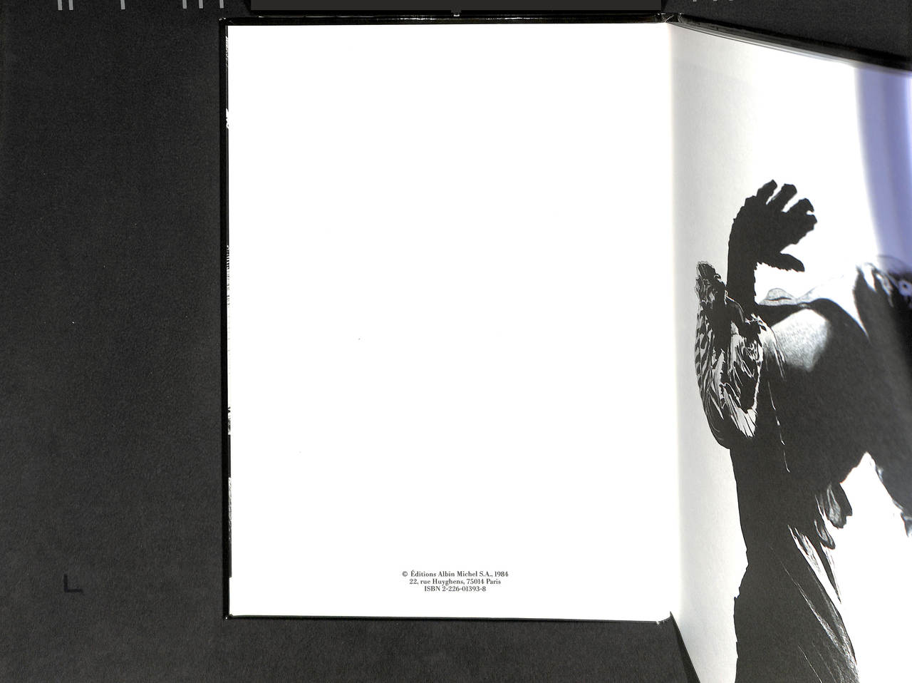 Paris Fripon page 9 full