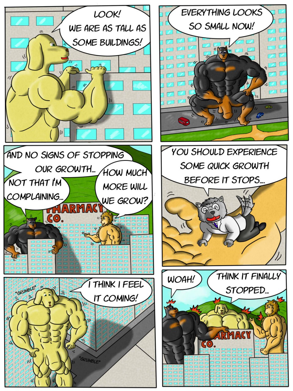 Wrong formula page 8 full