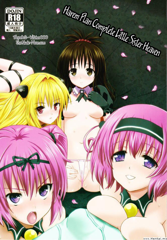 Kanryou Harem Keikaku Imouto Tengoku | Harem Plan Complete - Little Sister Heaven page 1 full