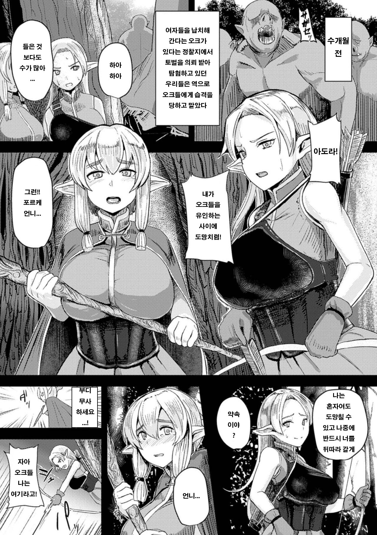 Hitoya no Elf page 3 full