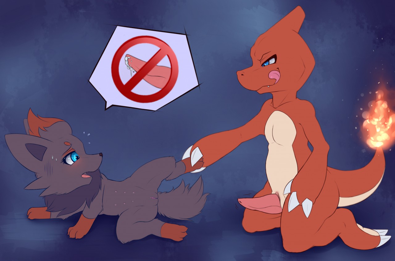 Fire-Fox Application page 3 full
