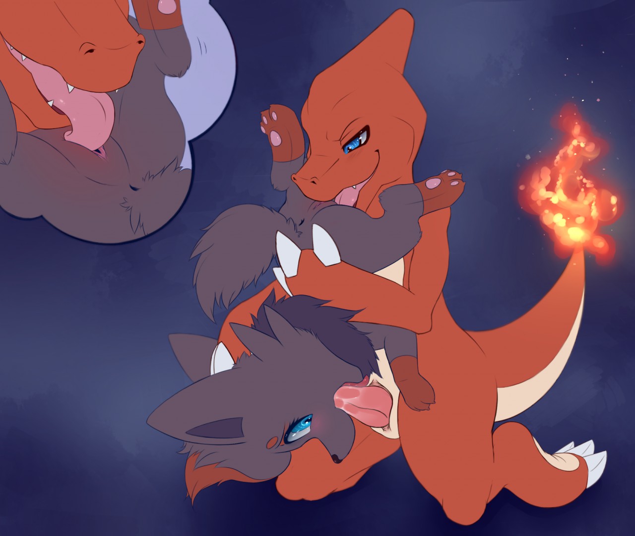 Fire-Fox Application page 4 full