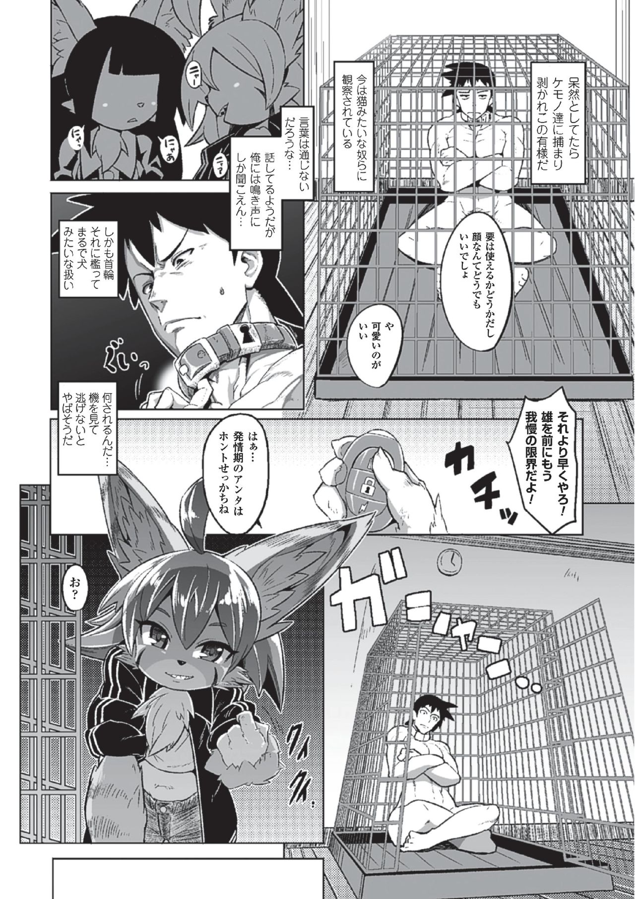 Tadashii Neko no Kawa Rekata page 2 full