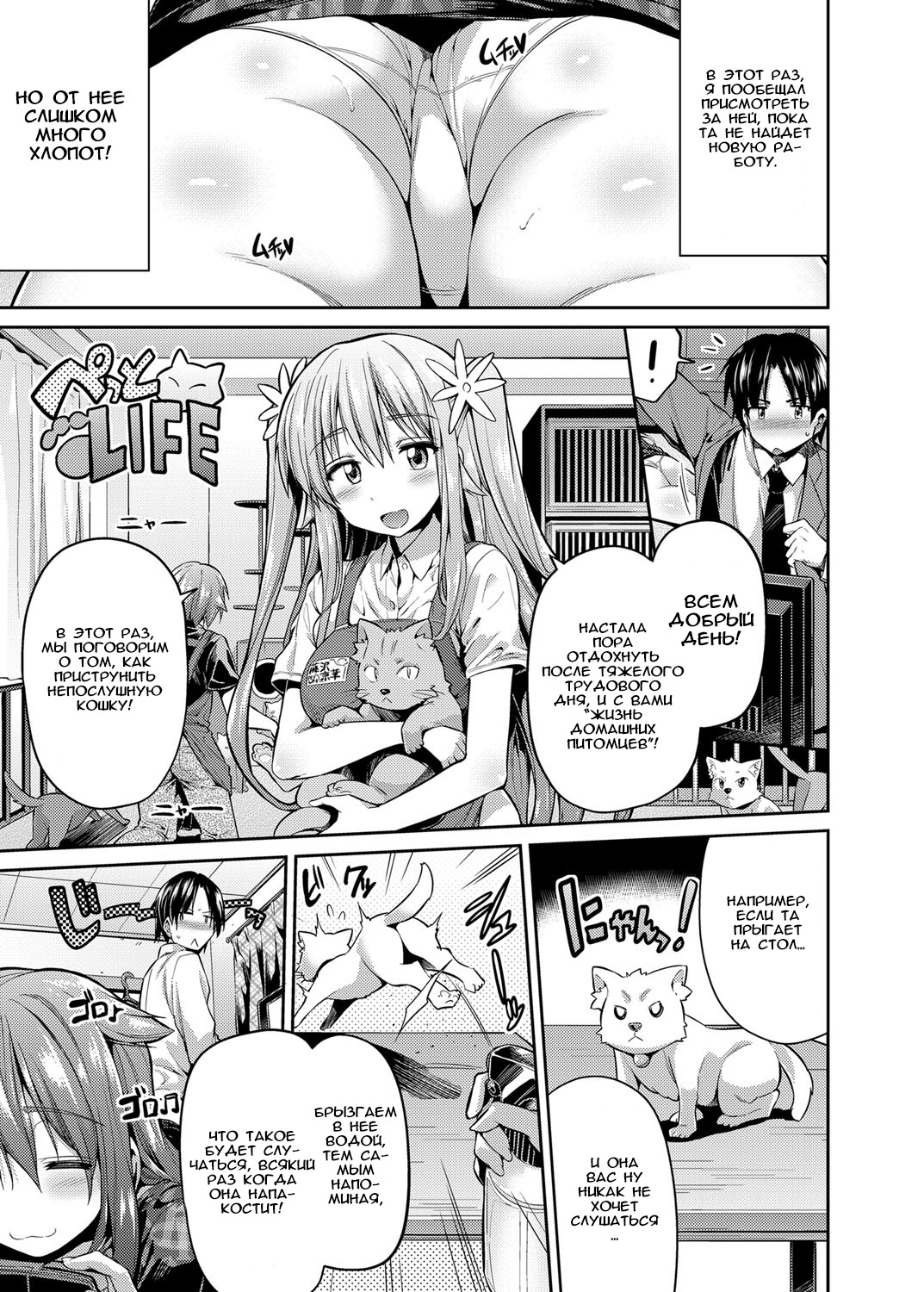 Pet na Ane no Shitsukekata | Как приручить любимую сестрёнку page 3 full