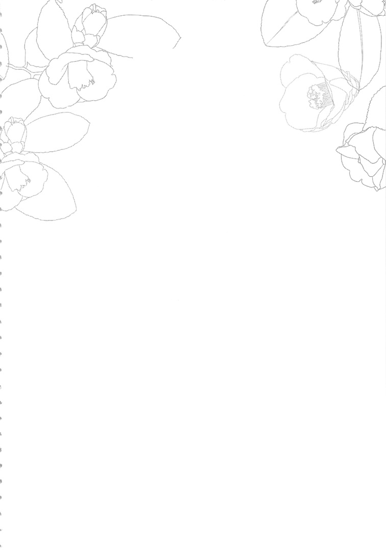 Ane Naru Mono 4 | 누이되는자 4 page 4 full