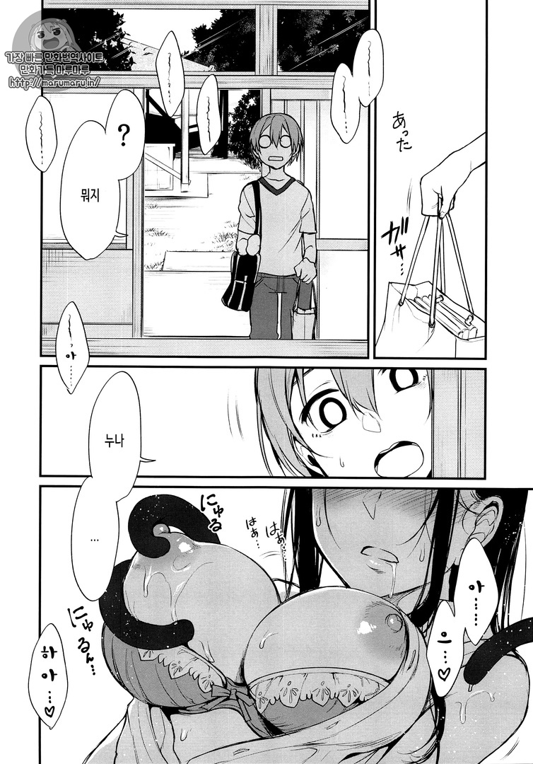 Ane Naru Mono 4 | 누이되는자 4 page 6 full