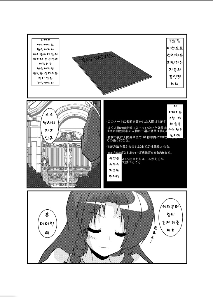 Touhou TS Monogatari ~Meiling Hen~ page 3 full