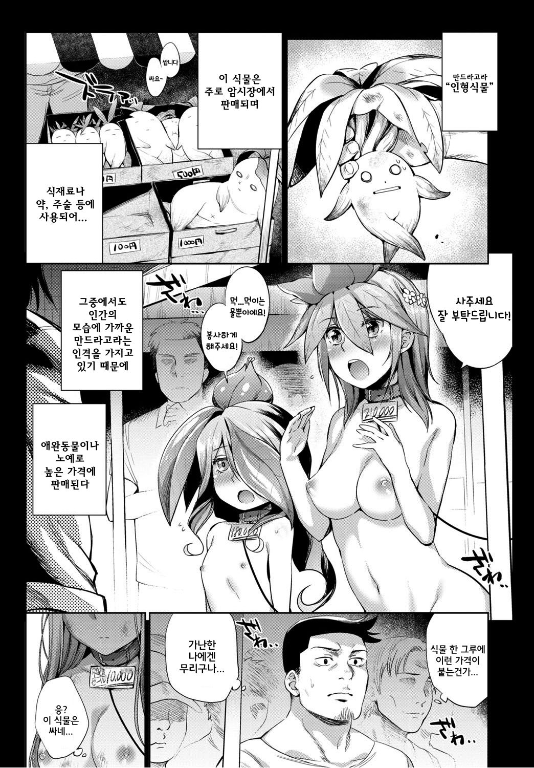 Shokubutsu no Sodatekata | 식물을 키우는 방법 page 4 full