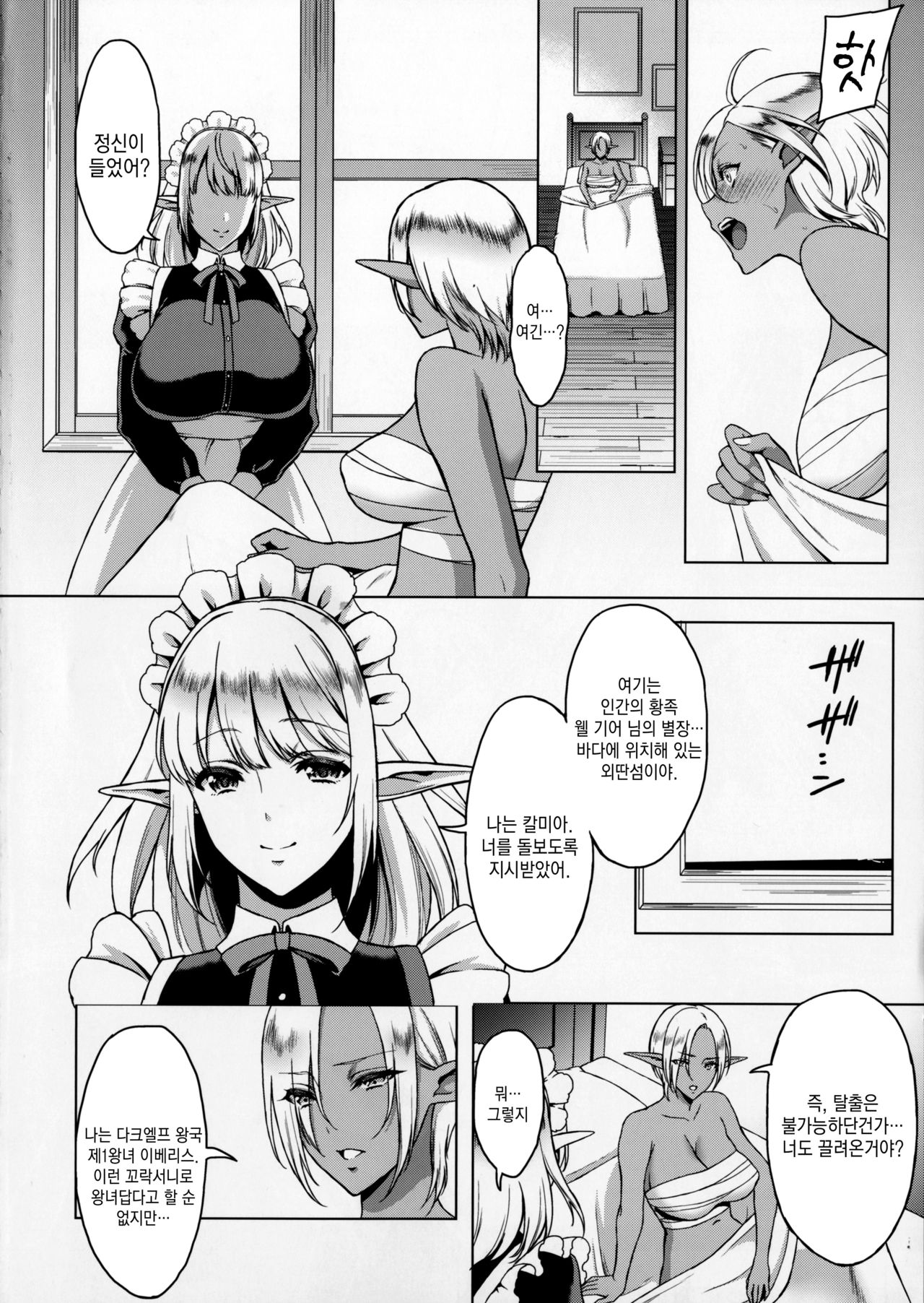 Reizoku Elf Maid + C91 Kaijou Genteibon page 3 full