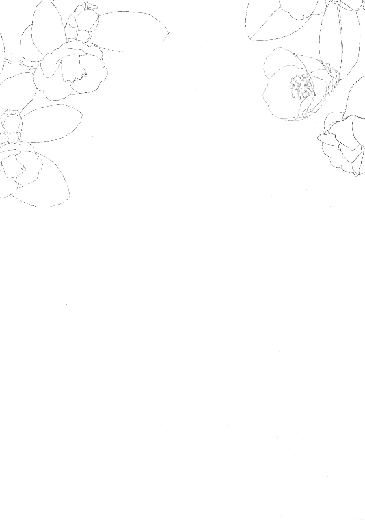 Ane Naru Mono 4 | 누이되는자 4 page 5 full