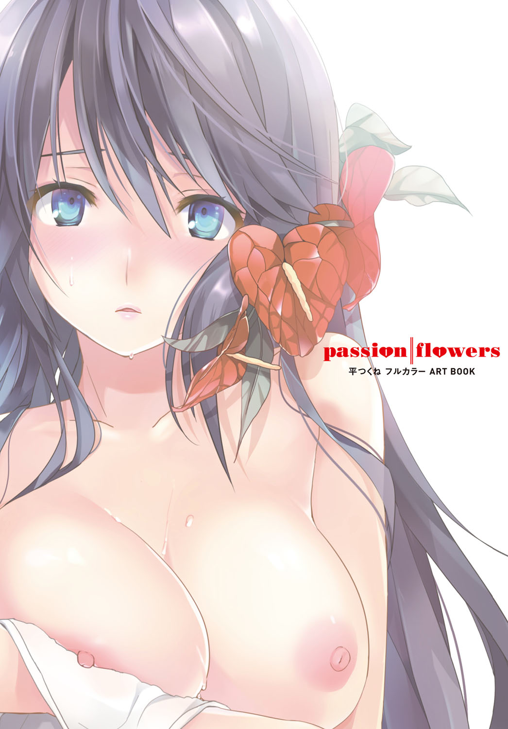 Taira Tsukune  - COMIC Anthurium Covers page 5 full