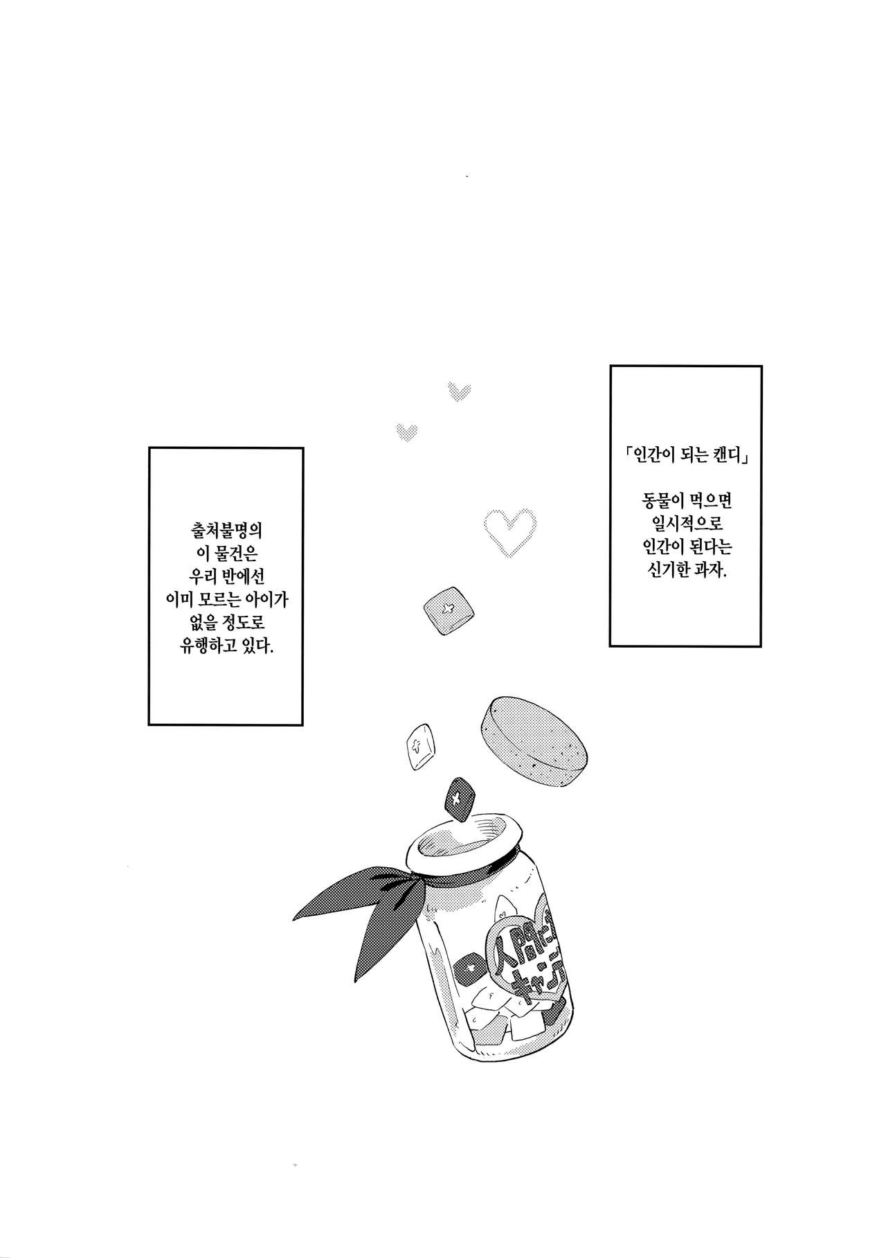 Uchi no Kawaii Kawaii Wanko-chan | 우리집 귀엽고 귀여운 멍멍이 page 3 full