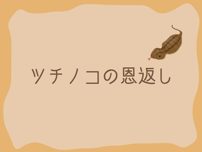 Tsuchinoko no Ongaeshi page 1 full