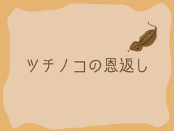 Tsuchinoko no Ongaeshi