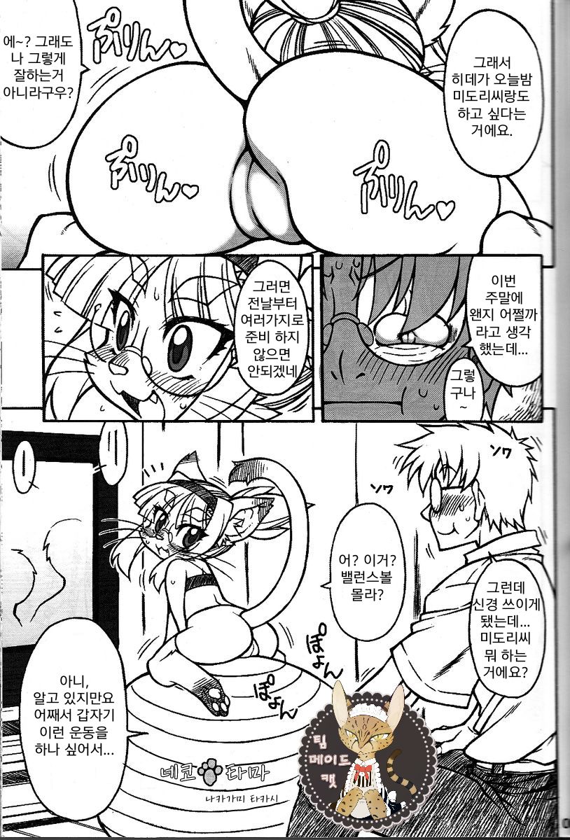 Nekotama | 네코타마 page 1 full