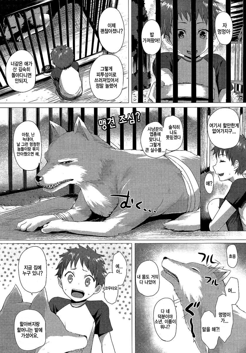 Heisei Hourouki | 헤이세이 늑대 길들이기 page 1 full