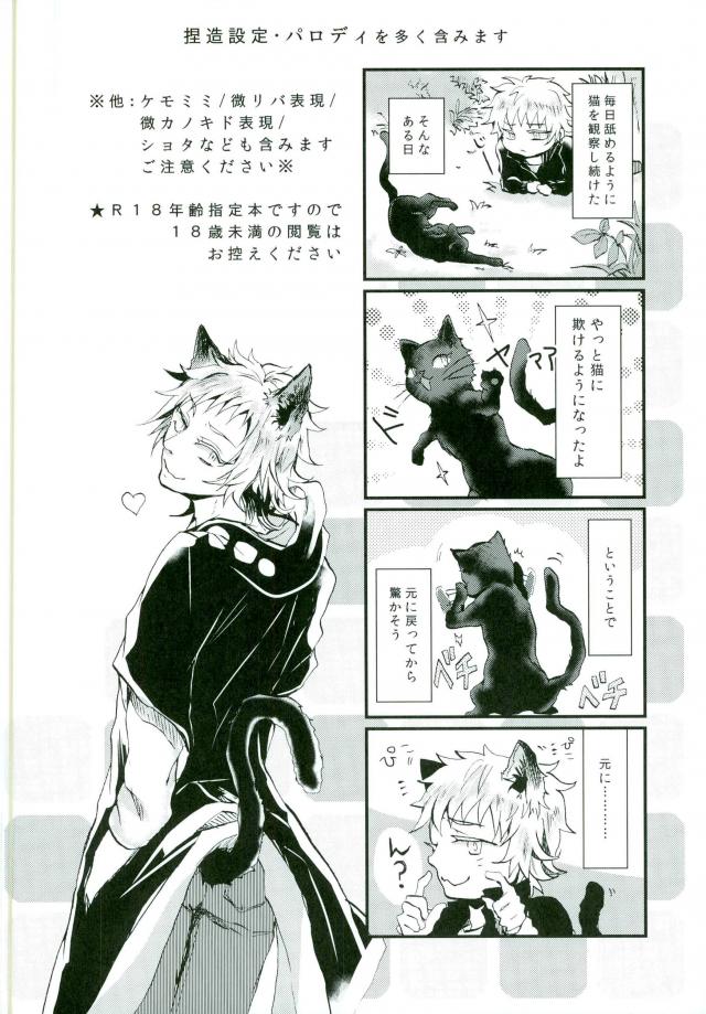 Usotsuki Neko page 2 full