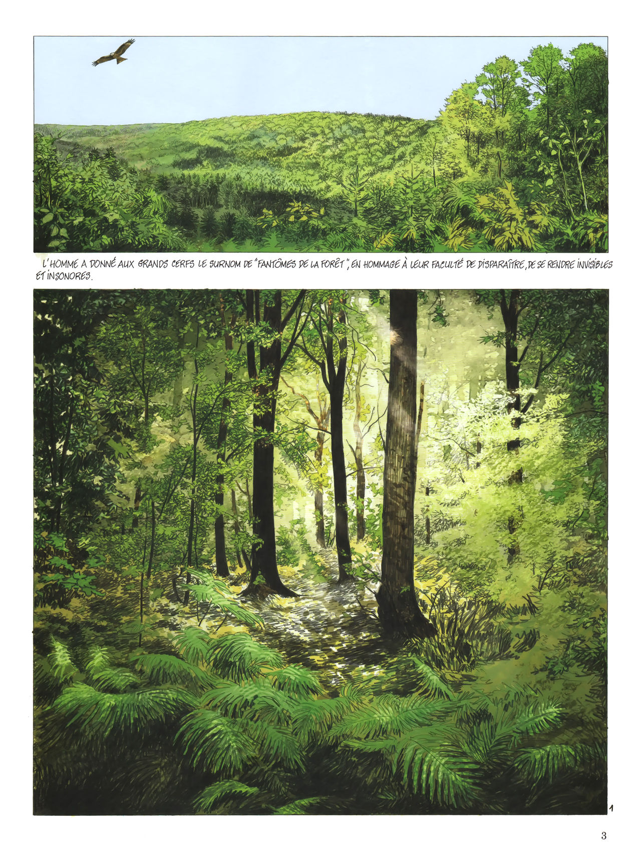 Le dernier brame page 5 full