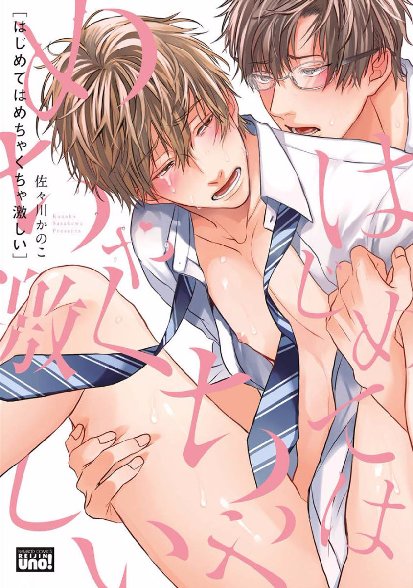 Hajimete wa Mechakucha Hageshii page 3 full