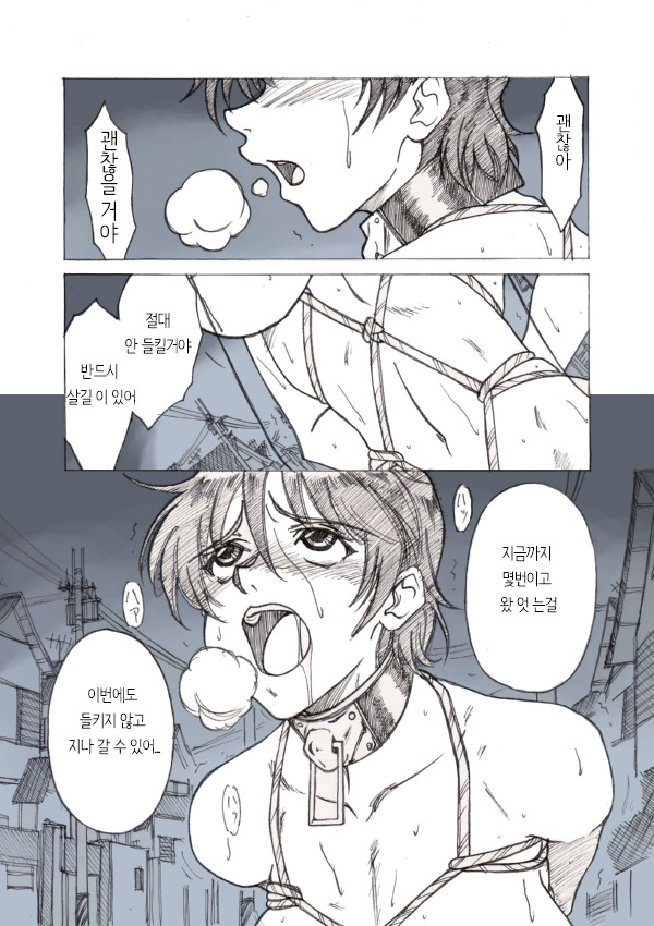 Roshutsu Hime no Hitsuzenteki Kyuuchi  | 노출공주의 필연적 위기 page 1 full