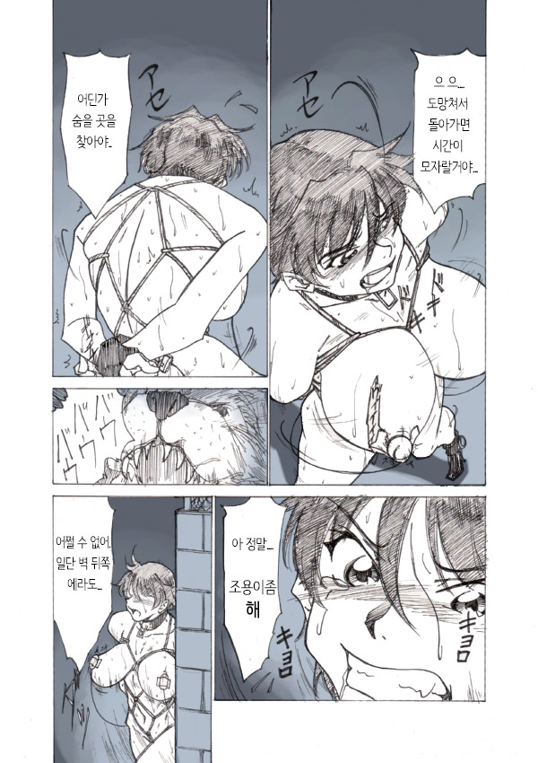 Roshutsu Hime no Hitsuzenteki Kyuuchi  | 노출공주의 필연적 위기 page 10 full