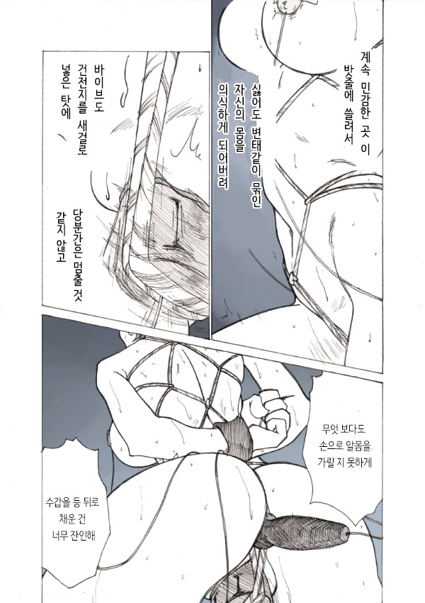 Roshutsu Hime no Hitsuzenteki Kyuuchi  | 노출공주의 필연적 위기 page 4 full