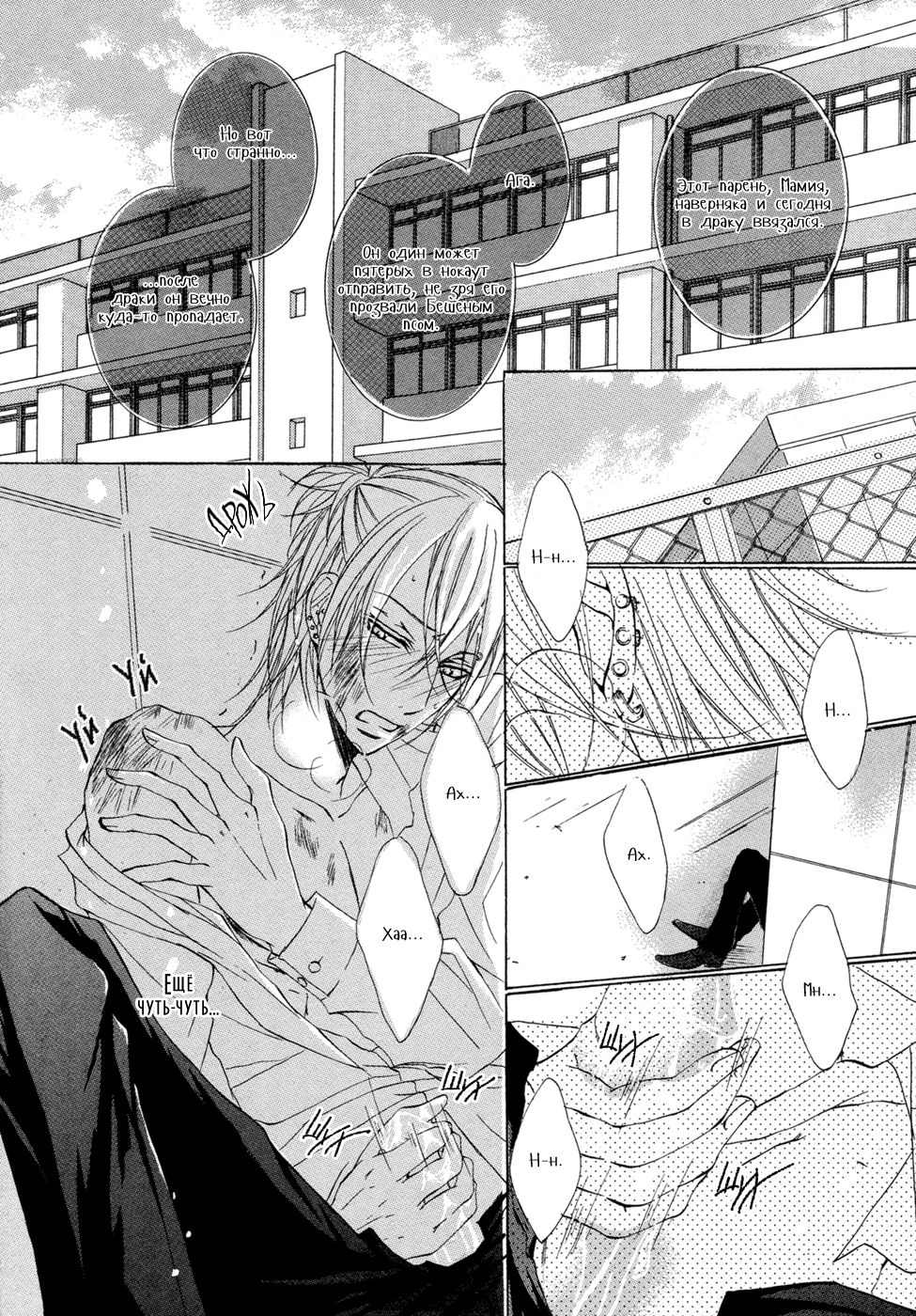 Seiai Reizoku Ecstasy | Сладость боли page 8 full