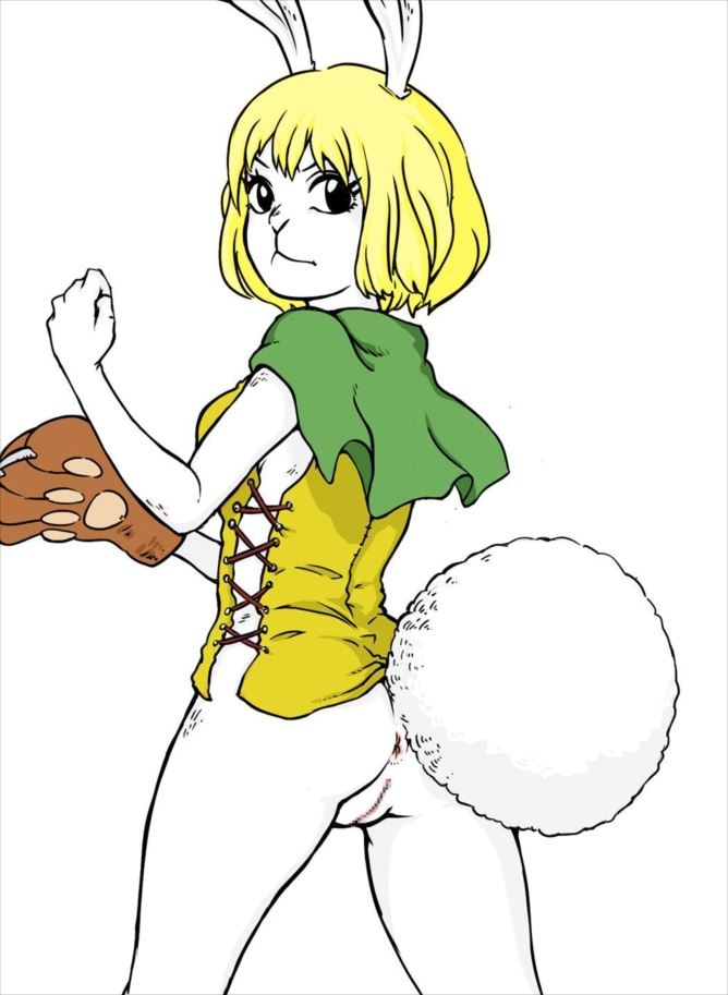 Carrot-One piece best pics page 3 full