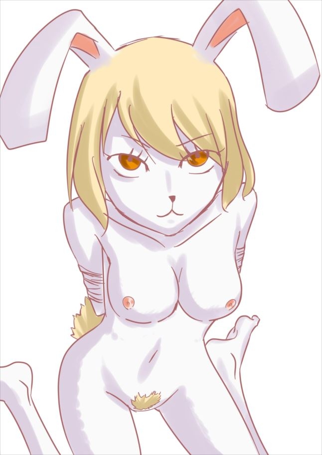 Carrot-One piece best pics page 7 full
