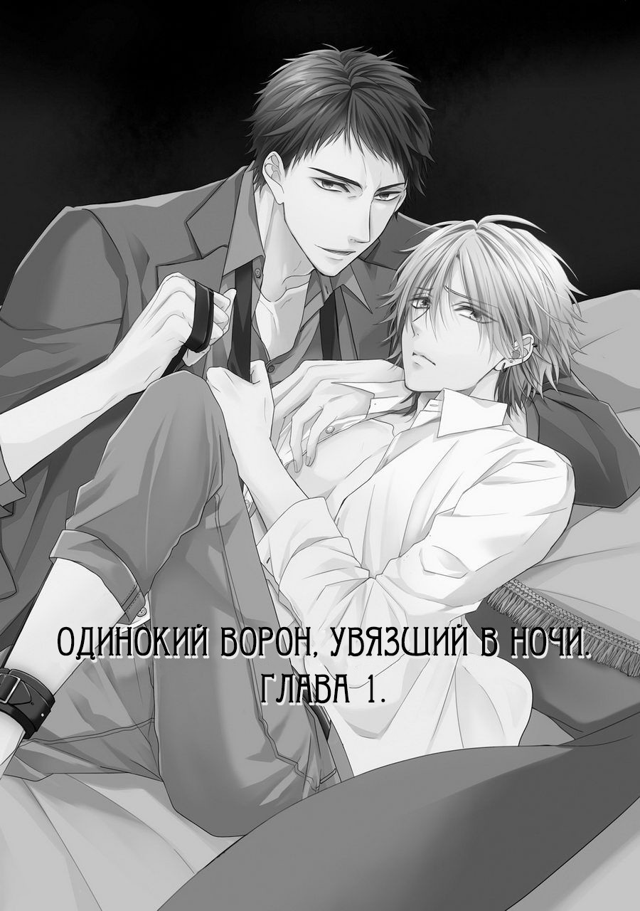 Samishii Karasu ga Oboreru Yoru | Одинокий ворон, увязший в ночи page 4 full