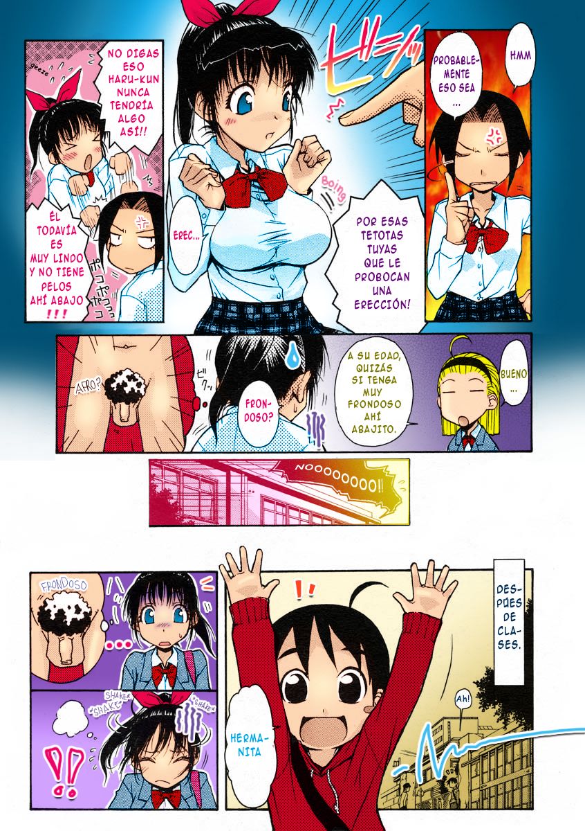 Onee-chan Senyou! | Hermana Exclusiva page 5 full